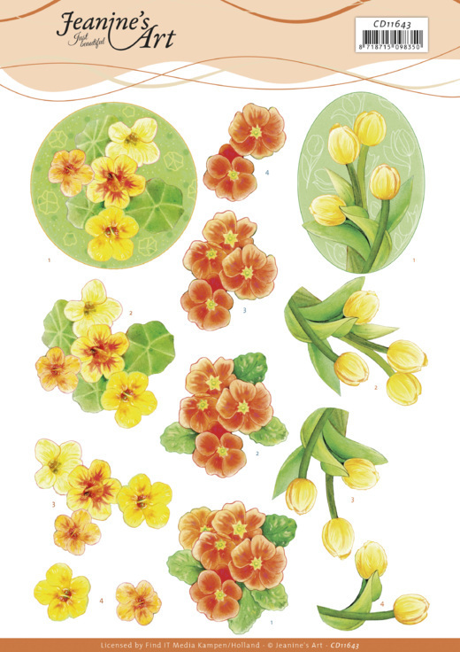 3D Cutting Sheet - Jeanine's Art - Orange Flowers