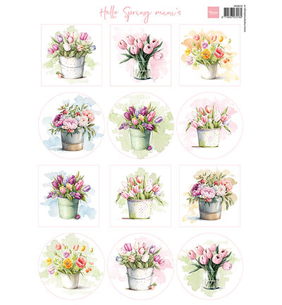 Hello Spring mini's