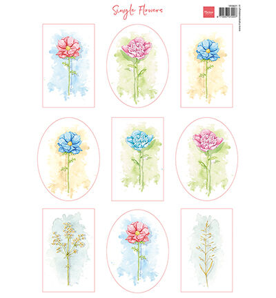 Single Flowers