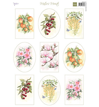 Mattie's Mooiste - Fruit & Flowers