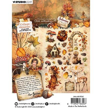 Collage elements Autumn In The Woods nr. 42