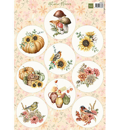 Autumn Flowers