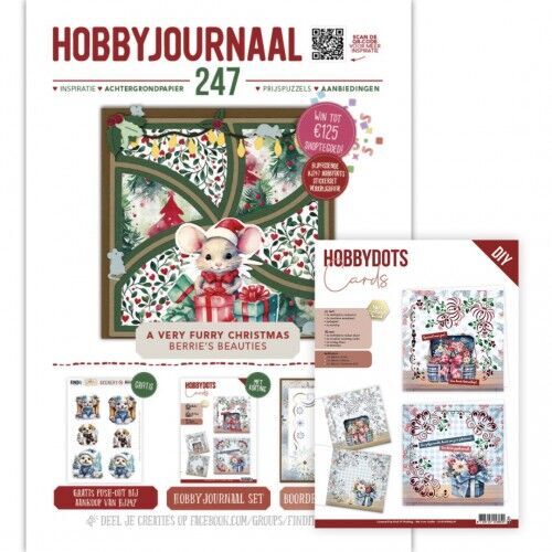 SET Hobbyjournaal 247