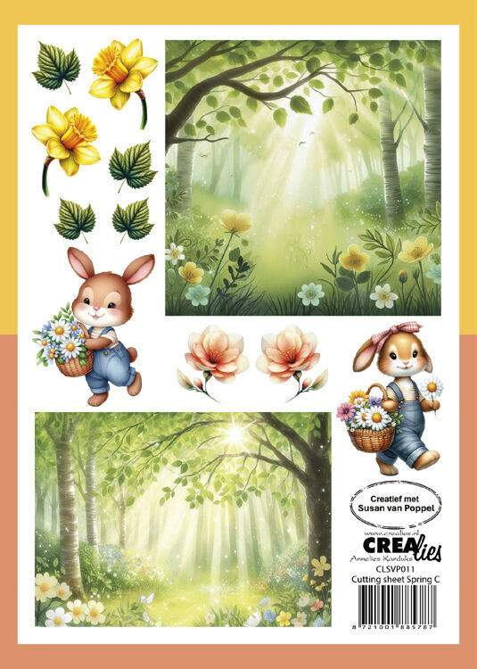 Lente C